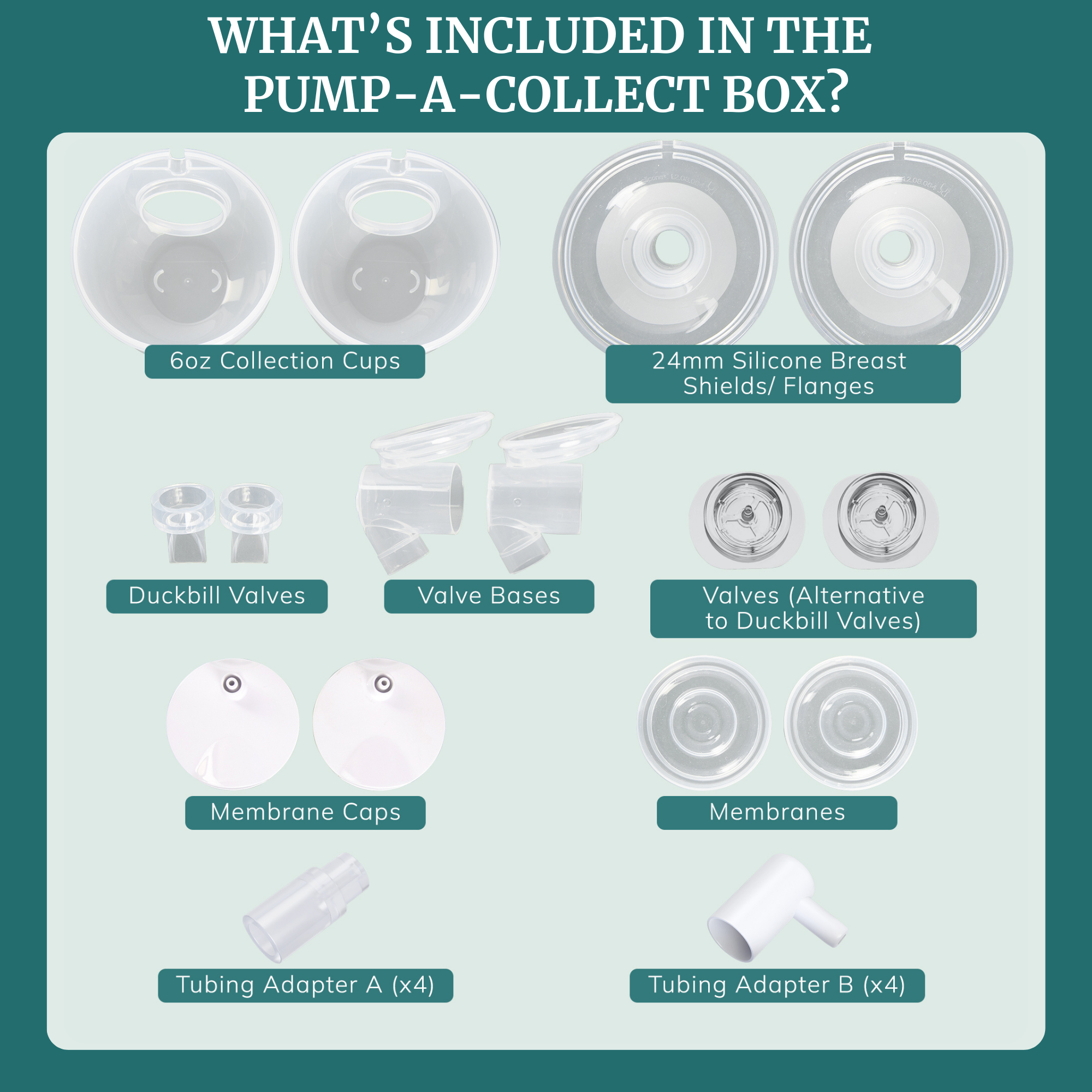 Idaho Jones Milk Collection Cups with silicone flanges for breast pump, showing clear collection cups and soft silicone attachments.